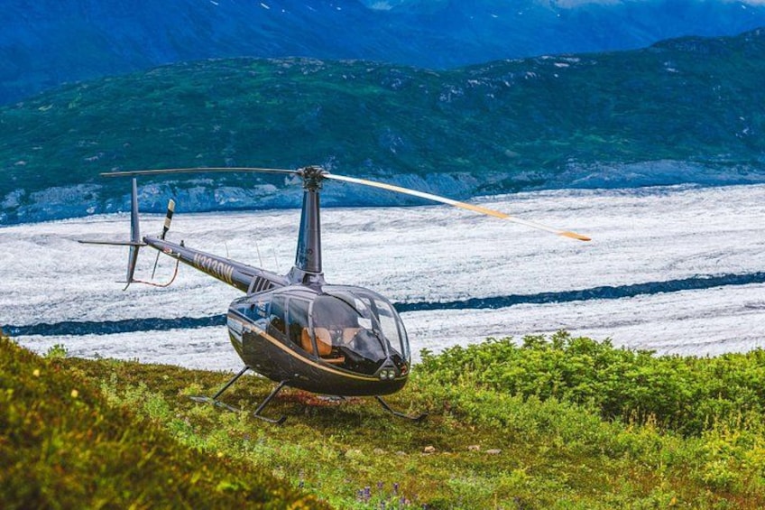 Prince William Sound Helicopter Flight-1 Landing-Anchorage Area 2