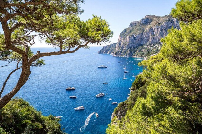 A coastal landscape with pine trees, a rocky cliff, and several boats on the water. 1