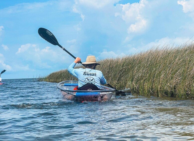 A person kayaking through a marshy area with tall grasses. 5