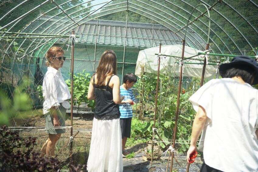 Hiroshima Garden to Table Cooking Class 3