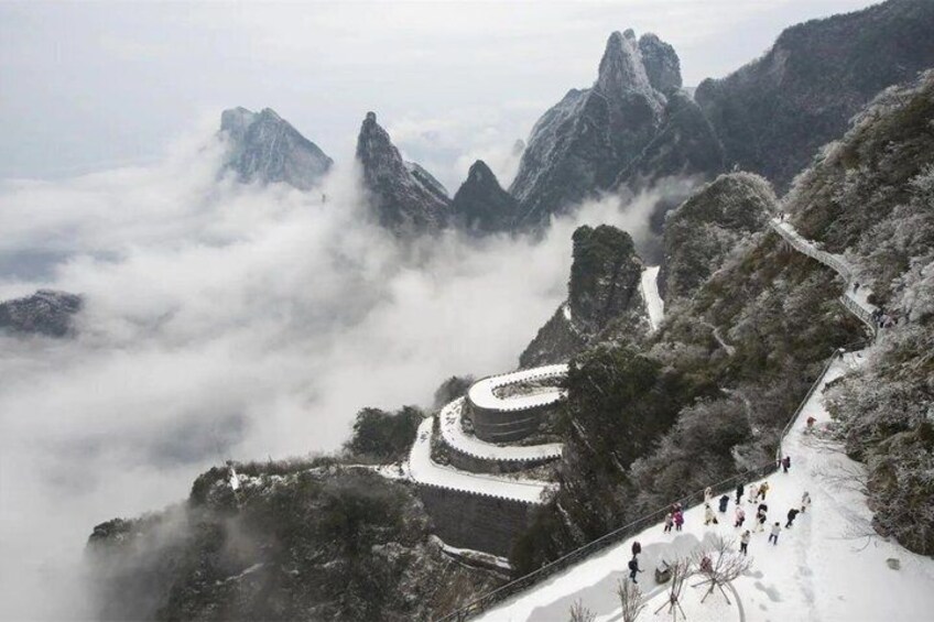 Tianmen Avatar Zhangjiajie National Park Bailong Express Day Trip 2
