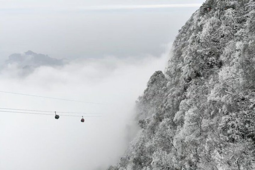Tianmen Avatar Zhangjiajie National Park Bailong Express Day Trip 3