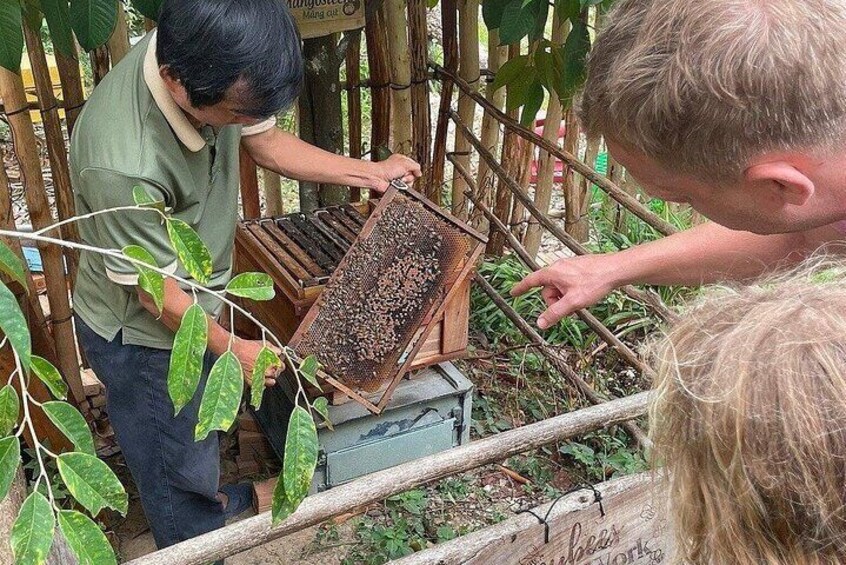 A person inspecting a beehive in a garden. 5
