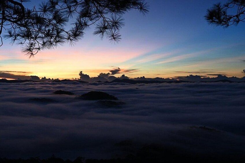 Un paysage avec une branche d’arbre au premier plan, un ciel nuageux et un horizon lointain. 3