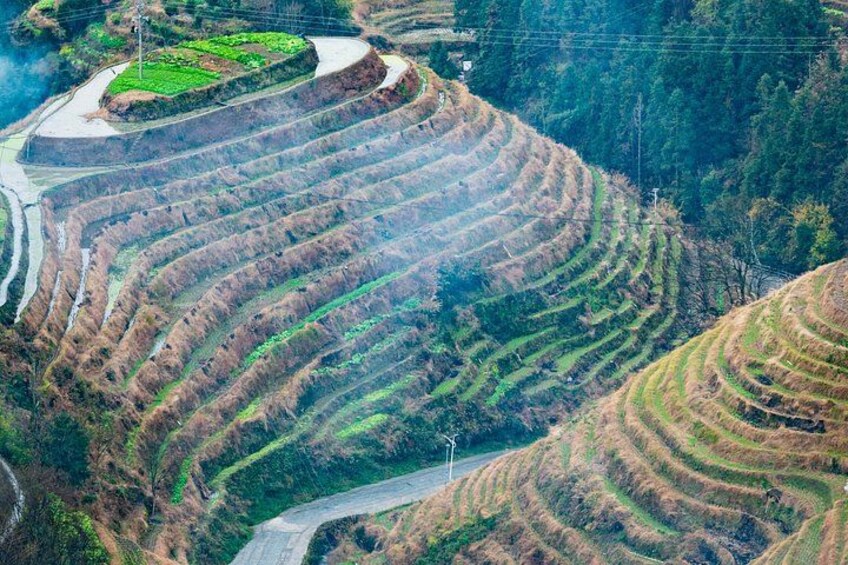 Guilin: Longji Terraces, Yao Village, & Jinkeng join in Tour 2
