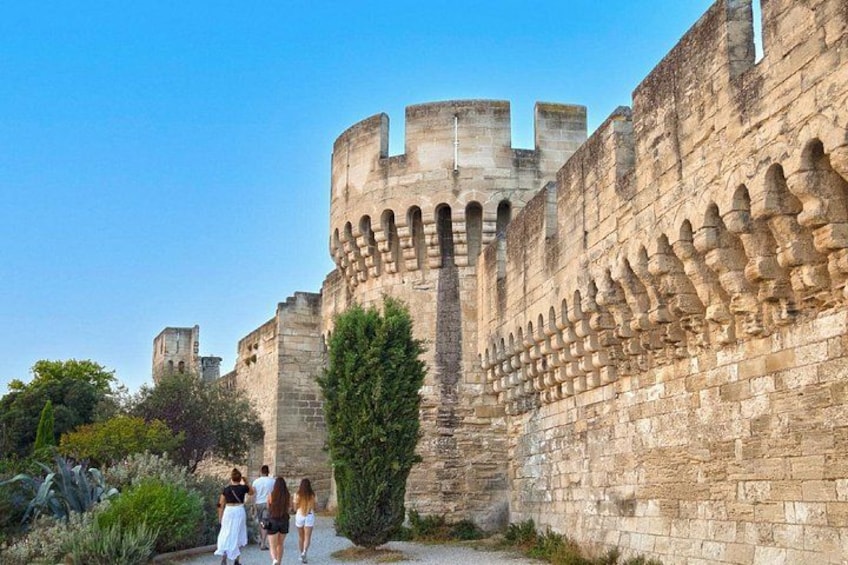 Ramparts & Pont d'Avignon: The intact fortifications protecting the city and the entrance to the famous Pont Saint-Bénézet. 2
