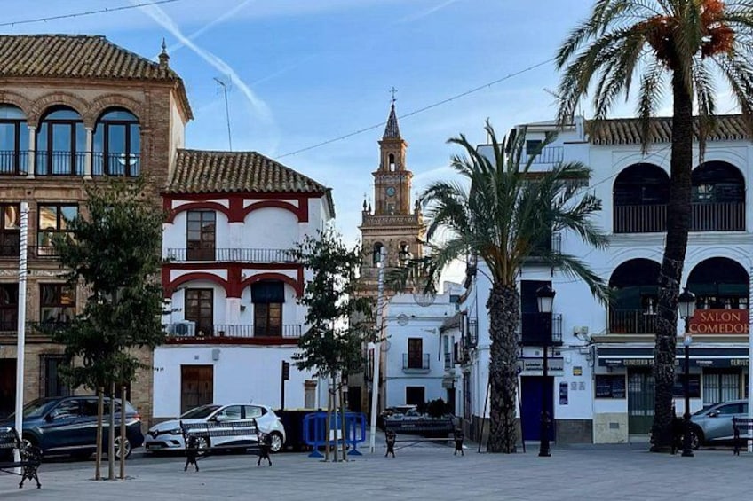 A street with buildings, palm trees, and a clock tower. 5
