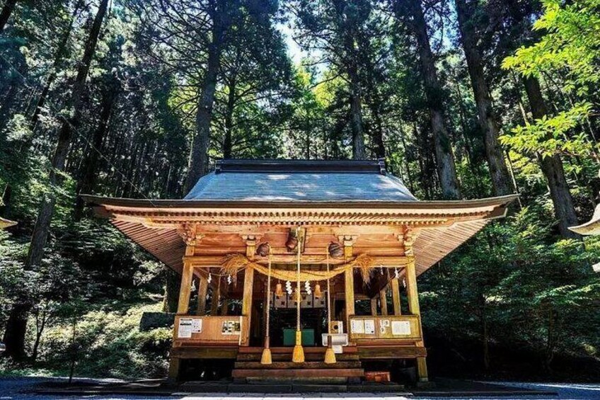 Kyushu Miyazaki Day Tour from Fukuoka 2