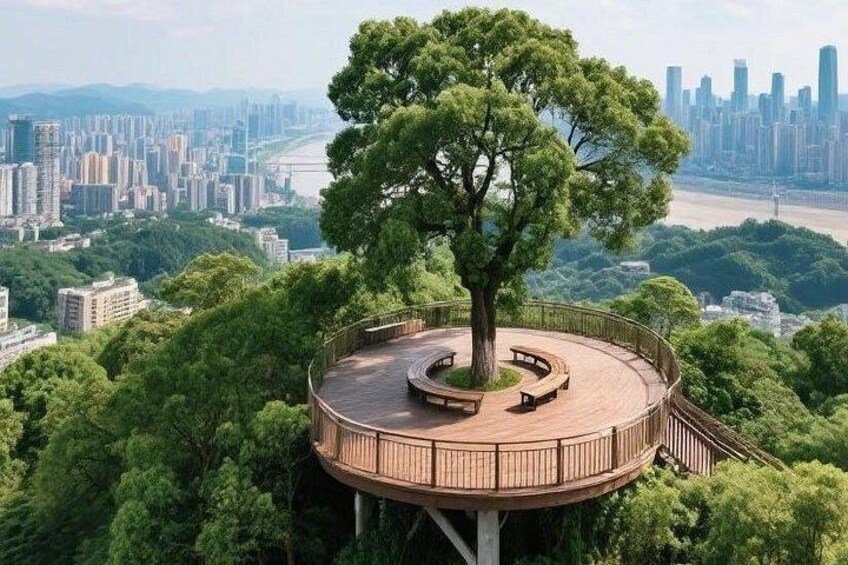 All Inclusive Chongqing private One day City Explorer 2