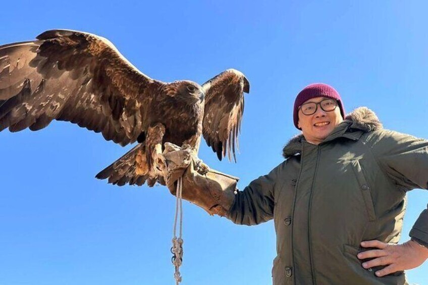 A person standing next to a large bird of prey, possibly a hawk, with its wings spread wide. 1