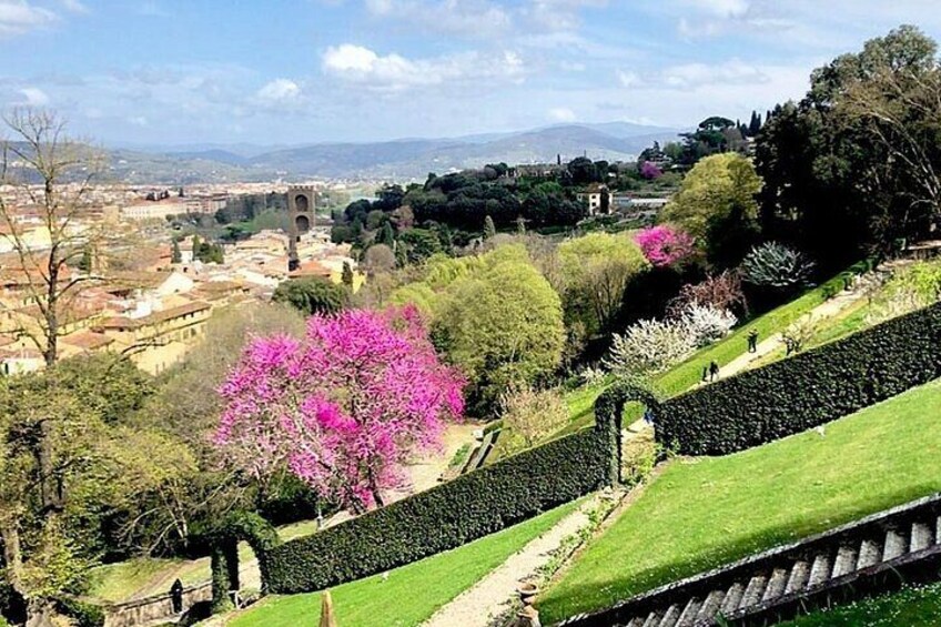 A landscaped garden with a prominent pink flowering tree, a neatly trimmed hedge, and a distant view of a town with historical architecture. 3