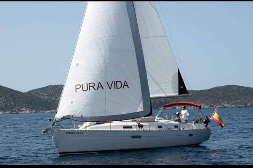 Private Day Sailing Adventure in Mallorca (Max 10 PAX) 5