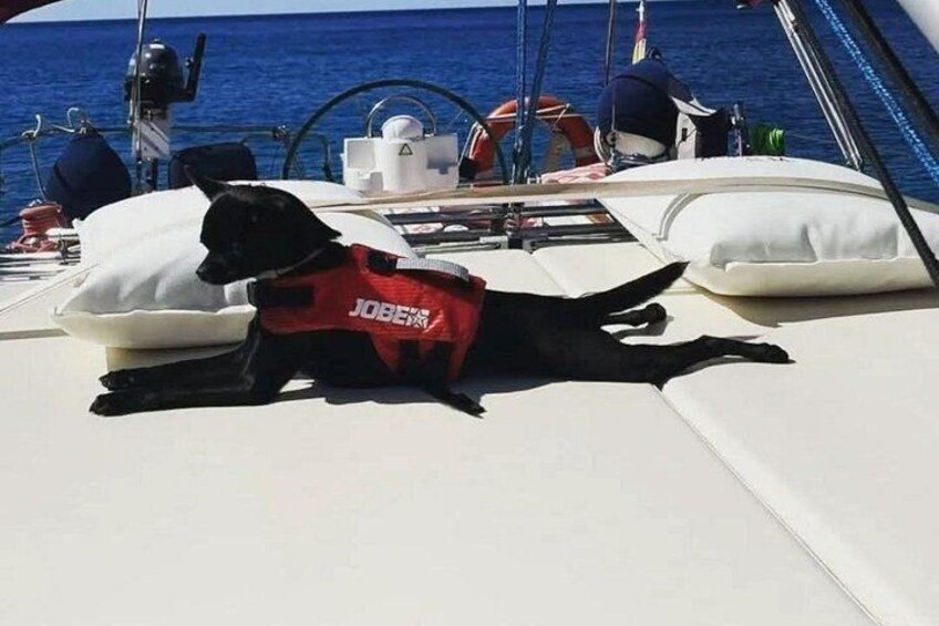 Private Day Sailing Adventure in Mallorca (Max 10 PAX) 2