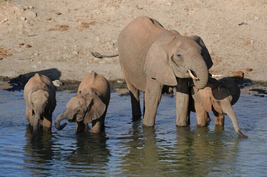 10 Day Safari plus Diani Beach 5