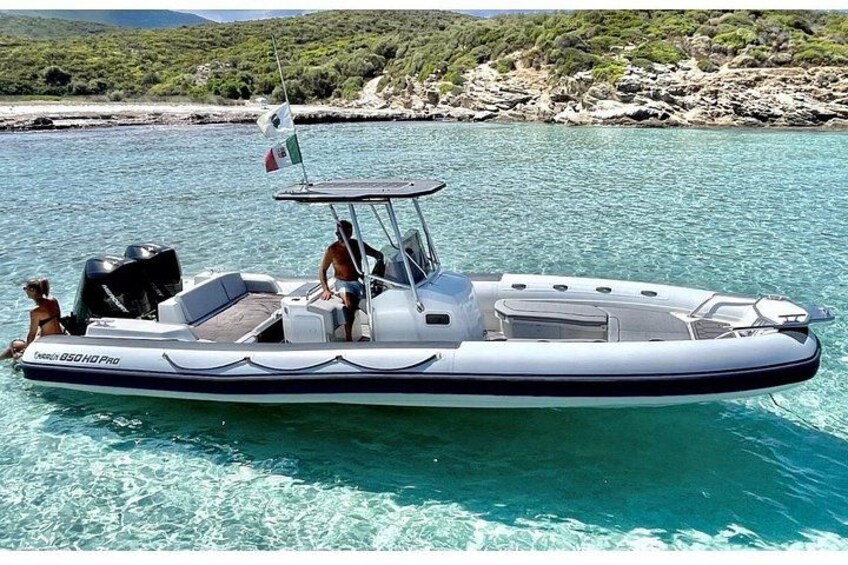 Olbia Dolphin watching and snorkeling boat tour 2