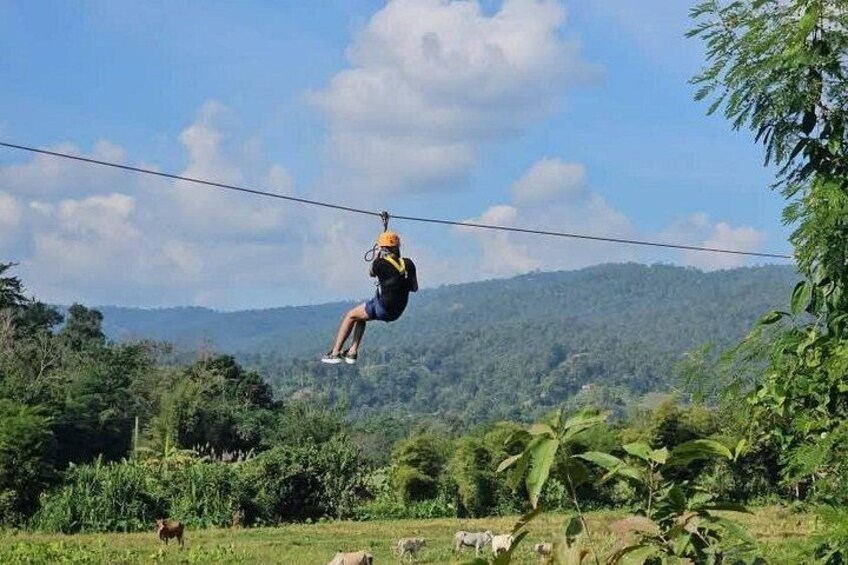 Chiang Mai Half-Day Mae Wang Zipline with Rafting or Waterfall 1