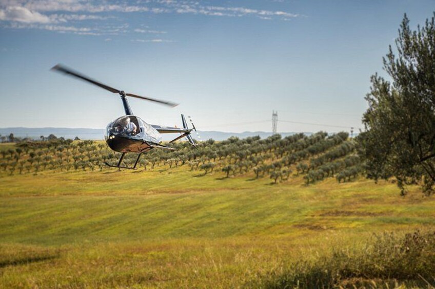 Hunter Valley Scenic Helicopter Flight with Lunch - For 2 4