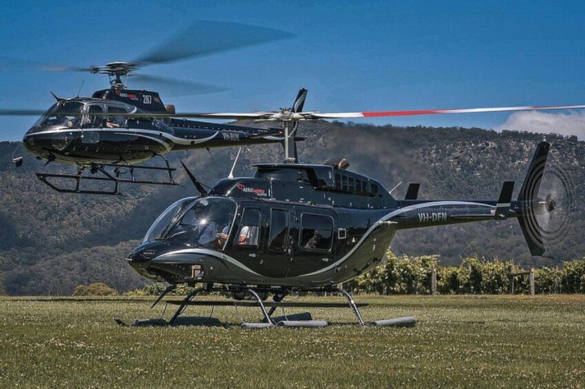Hunter Valley Scenic Helicopter Flight with Lunch - For 2 2