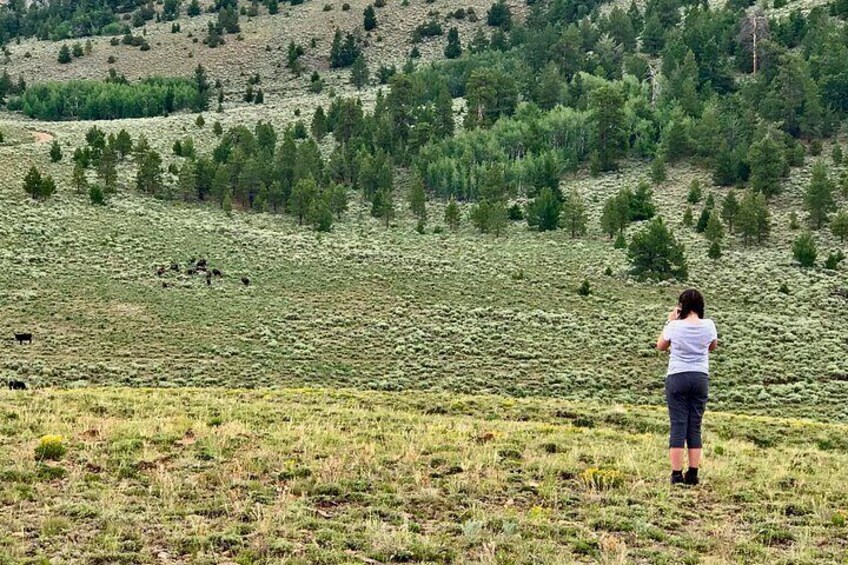 A person standing in a field with a hilly landscape in the background. 3