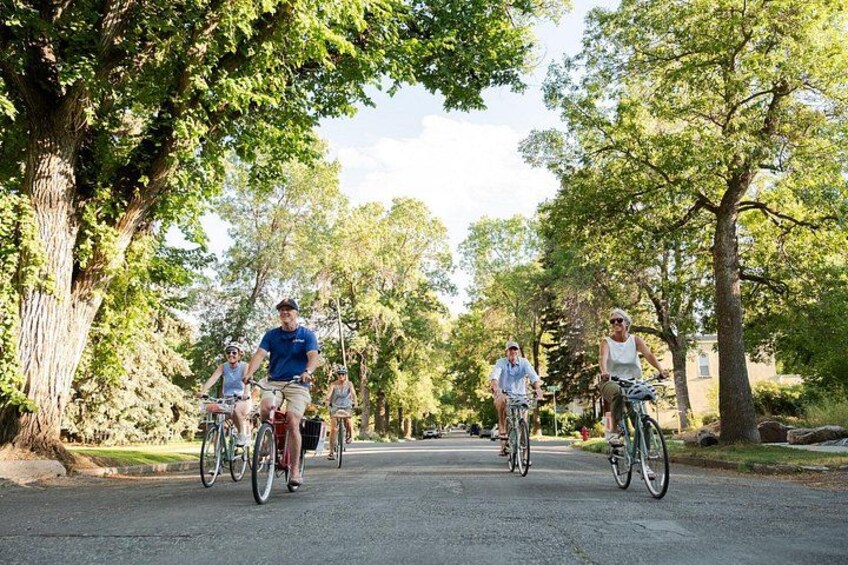 Un groupe de cyclistes sur une route bordée d’arbres. 4
