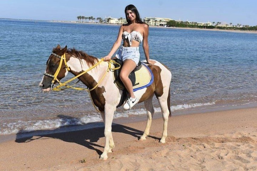 Horse Ride on the Beach in Sharm El Sheikh 5