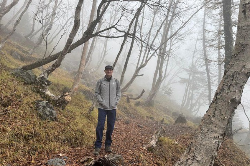 Una persona de pie en un sendero boscoso, con niebla, árboles desprovistos de hojas y hojas caídas. 3