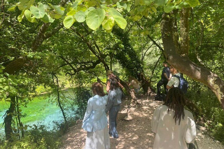 Un groupe de personnes fait de la randonnée sur un sentier boisé, avec une rivière en arrière-plan. 2