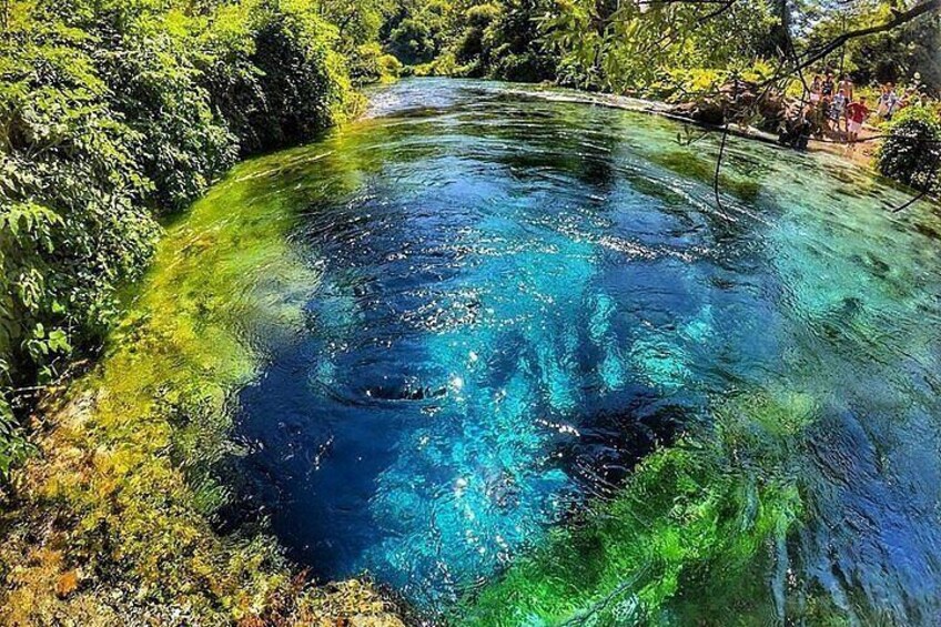 Une rivière aux eaux d'un bleu limpide, bordée d'une végétation luxuriante. 3