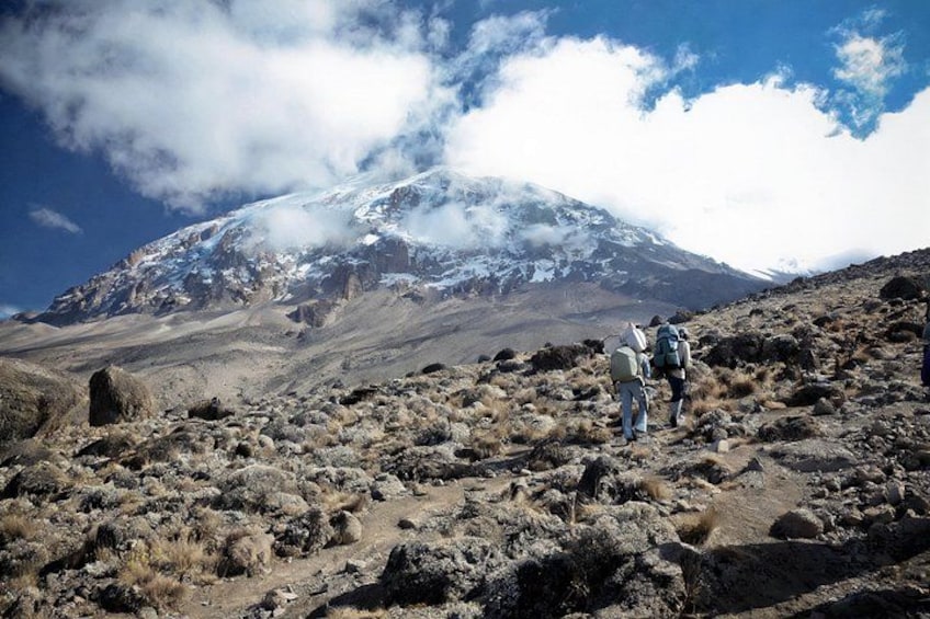 A mountainous landscape with hikers on a rocky trail, a snow-capped peak in the background, and a clear sky. 1