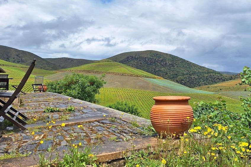 Des vignes cultivées en terrasses, un banc en pierre et un pot en argile, le tout dans un paysage vallonné. 3