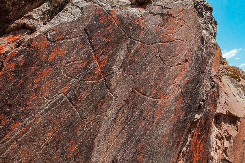 Un gros plan d’une surface rocheuse présentant des fissures visibles et des dépôts minéraux orangés. 2