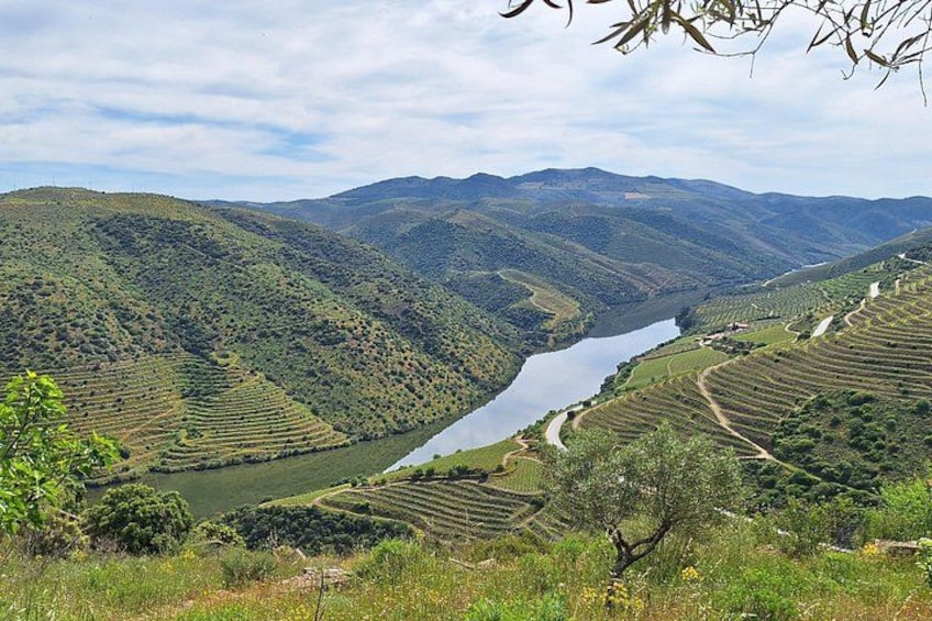 Une rivière serpentant à travers des champs en terrasses, entourée de collines ondoyantes. 5