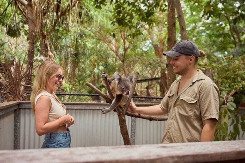 Koala and Wildlife Park Discover Magnetic Islands Native Animals 1