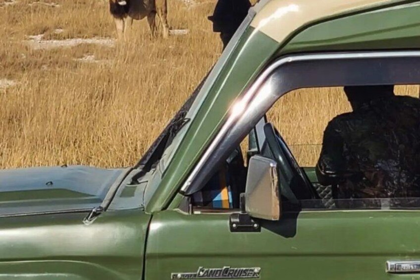 Un coche verde con un espejo retrovisor y una insignia 'Land Cruiser'. 2