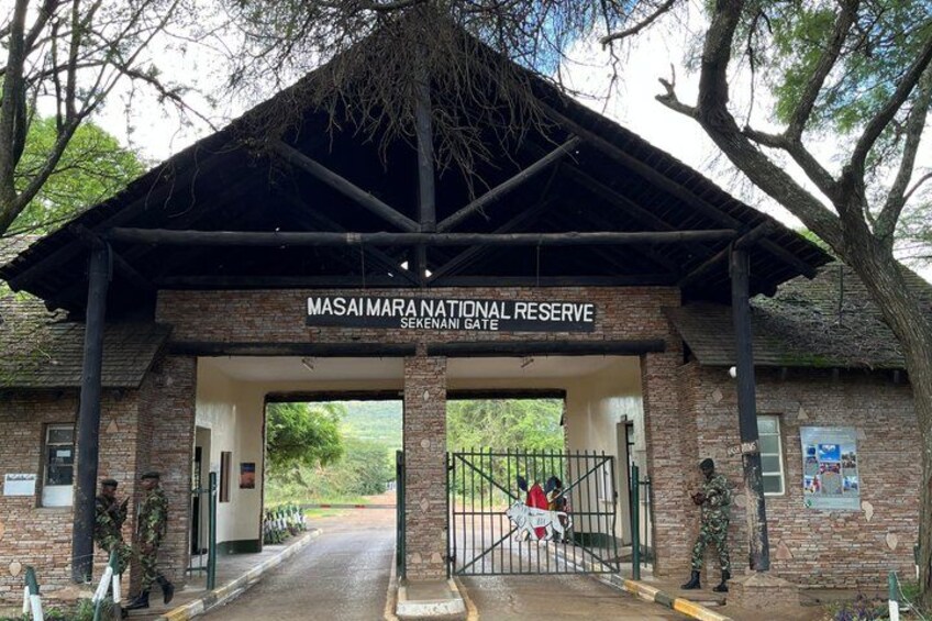 Puerta de entrada a la Reserva Nacional Masai Mara, con un edificio de ladrillo, una reja metálica y un árbol. 5