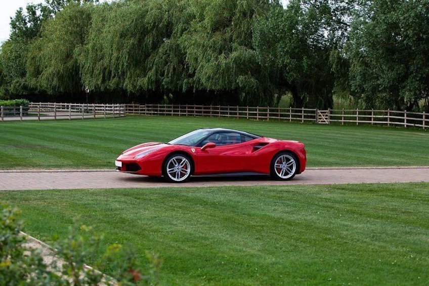 A red sports car on a grassy field with trees and a wooden fence in the background. 4