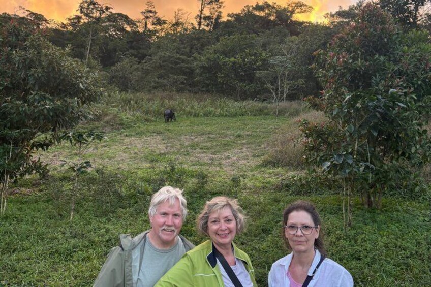 Tre personer står på en gräsklädd äng, med träd och en elefant i fjärran som syns i bakgrunden. 2