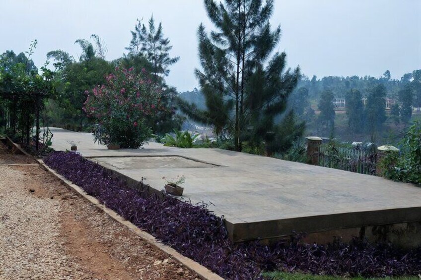 Un jardin avec un chemin en béton, des plantes à feuillage pourpre et diverses autres espèces végétales. 2