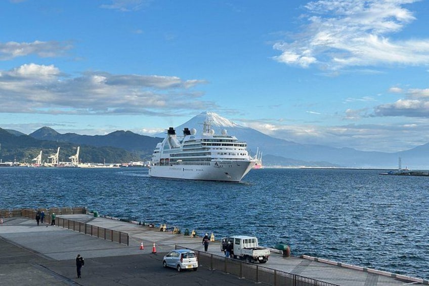 A cruise ship docked at a port with mountains in the background. 1