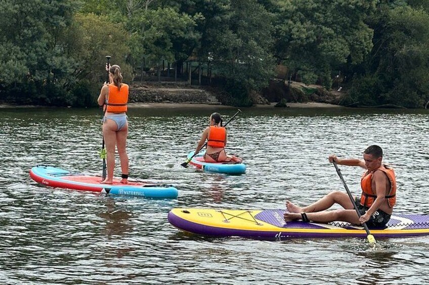 Three people paddleboarding on a calm lake surrounded by trees. 4