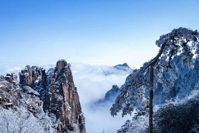 A snow-covered mountain landscape with rocky cliffs and a tree. 3