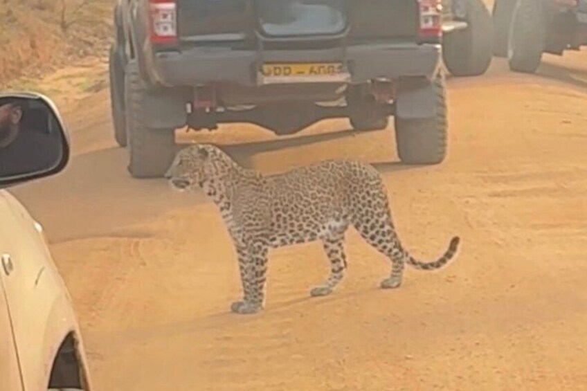 Yala Safari Private tour -4.30am to 12pm.= 51.23$( 06 pax ) 5