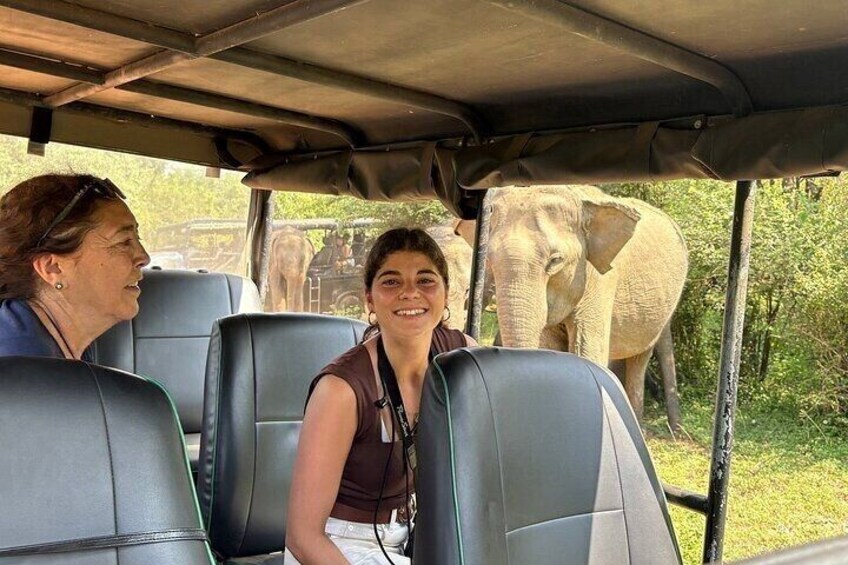 Yala Safari Private tour -4.30am to 12pm.= 44.73$ 4