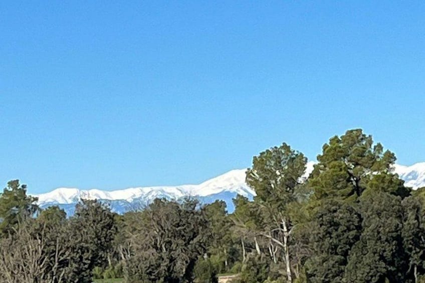 Girona Cycling Gravel Empordà 360o Cycling Adventure Legacy 7d 5