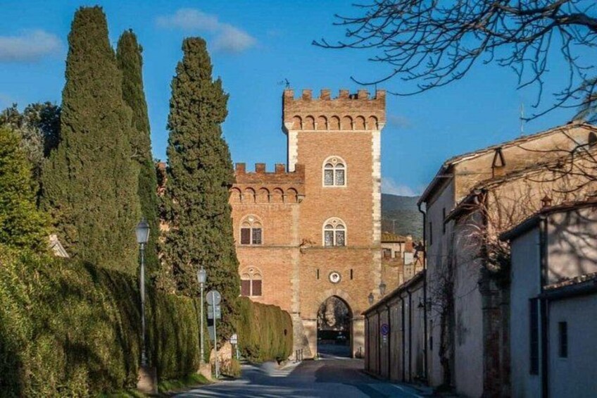 SuperTuscan Wines private tour from Lucca Pisa or Livorno Port 2