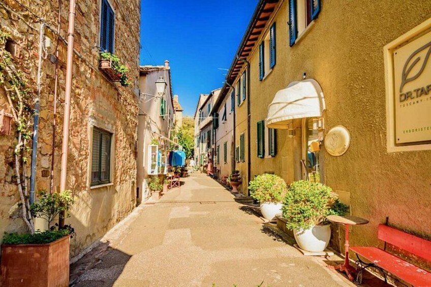 SuperTuscan Wines private tour from Lucca Pisa or Livorno Port 2