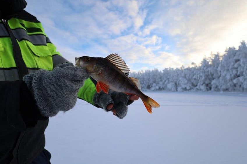 Ice Fishing and Winter BBQ Experience in Finnish Wilderness 4