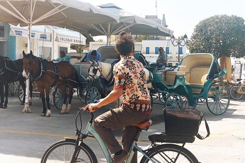Spetses Island Full Day Trip from Nafplio with Swimming 2