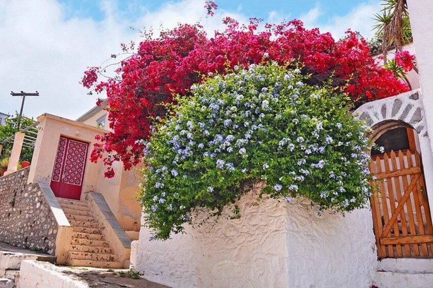 Hydra Island Full Day Trip From Nafplio with Swimming 2
