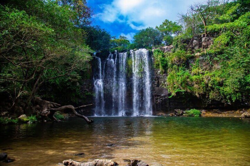 Une cascade entourée d’une végétation luxuriante. 2